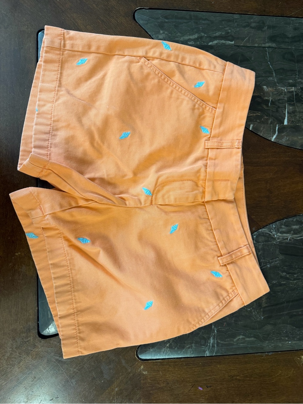 J. Crew Peach Cotton Embroidered Shorts with Blue Accents